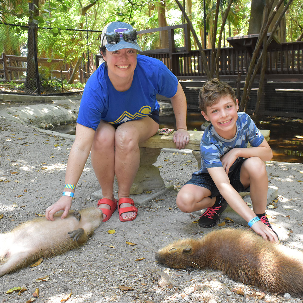 Baby Capybara Encounter
