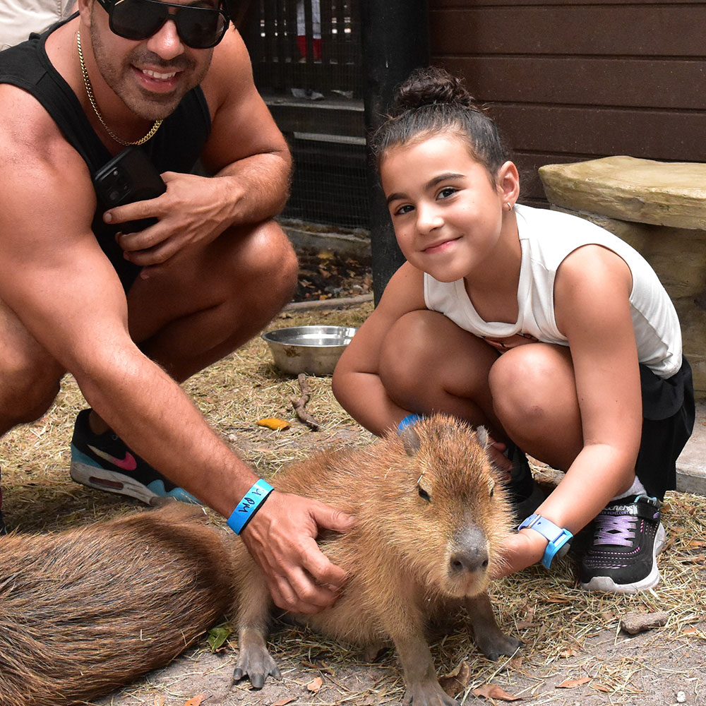 Baby Capybara Encounter