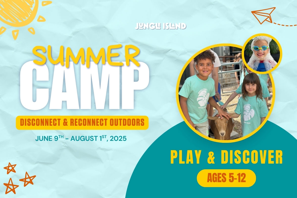 Summer Camp